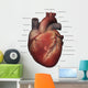 Anterior Human Heart Anatomy Labeled Wall Decal