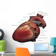 Lateral Human Heart Anatomy Wall Decal
