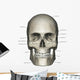 Anterior Human Skull Anatomy Labeled Wall Decal