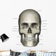 Anterior Human Skull Anatomy Labeled Wall Decal