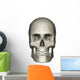 Anterior Human Skull Anatomy Wall Decal