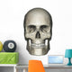 Anterior Human Skull Anatomy Wall Decal