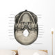 Inferior Human Skull Anatomy Labeled Wall Decal