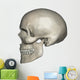 Lateral Human Skull Anatomy Wall Decal