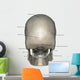 Posterior Human Skull Anatomy Labeled Wall Decal