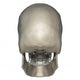 Posterior Human Skull Anatomy Wall Decal