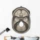 Superior Human Skull Anatomy Wall Decal