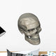 Three Quarters Human Skull Wall Decal