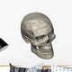 Three Quarters Human Skull Wall Decal