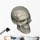 Three Quarters Human Skull Wall Decal