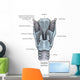 Posterior Larynx Anatomy with Wall Decal