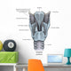 Posterior Larynx Anatomy with Wall Decal