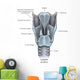 Posterior Larynx Anatomy with Wall Decal