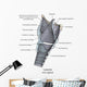 Mid-sagittal Larynx Anatomy with Wall Decal