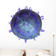 3D Model T-cell Key Wall Decal