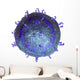 3D Model T-cell Key Wall Decal