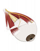 Left Supramedial Eye Anatomy Illustration Wall Decal
