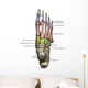 3D Model Foot Bones Labeled Wall Decal