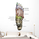 3D Model Foot Bones Labeled Wall Decal