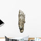 3D Model Foot Bones Wall Decal