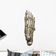 3D Model Foot Bones Wall Decal