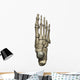 3D Model Foot Bones Wall Decal