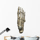3D Model Foot Bones Wall Decal