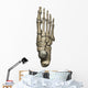 3D Model Foot Bones Wall Decal