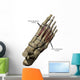 3D Model Foot Small Muscles Labeled Wall Decal