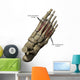 3D Model Foot Small Muscles Labeled Wall Decal