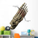 3D Model Foot Small Muscles Labeled Wall Decal