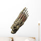 3D Model Foot Small Muscles Wall Decal