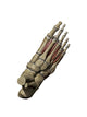 3D Model Foot Small Muscles Wall Decal