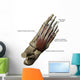 Human Foot Showing Dorsal Wall Decal