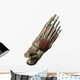 3D Model Foot Top Wall Decal