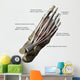 3D Model Foot Top Muscles 1 Labeled Wall Decal