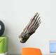 3D Model Foot Top Muscles 1 Wall Decal