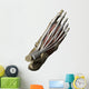 3D Model Foot Top Muscles 1 Wall Decal