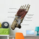 Human Foot Depicting Plantar Labeled Wall Decal