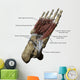 Human Foot Depicting Plantar Labeled Wall Decal