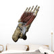 Human Foot Depicting Plantar Wall Decal
