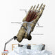 3D Model Foot Sole Tendons Labeled Wall Decal