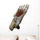 3D Model Foot Sole Tendons Wall Decal