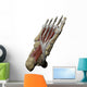 3D Model Foot Sole Muscles 1 Wall Decal
