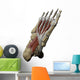 3D Model Foot Sole Muscles 1 Wall Decal