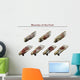 Muscles Foot Wall Decal