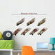 Muscles Foot Wall Decal