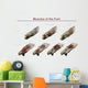 Muscles Foot Wall Decal