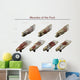 Muscles Foot Wall Decal