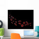 Red Blood Cells Free Wall Decal